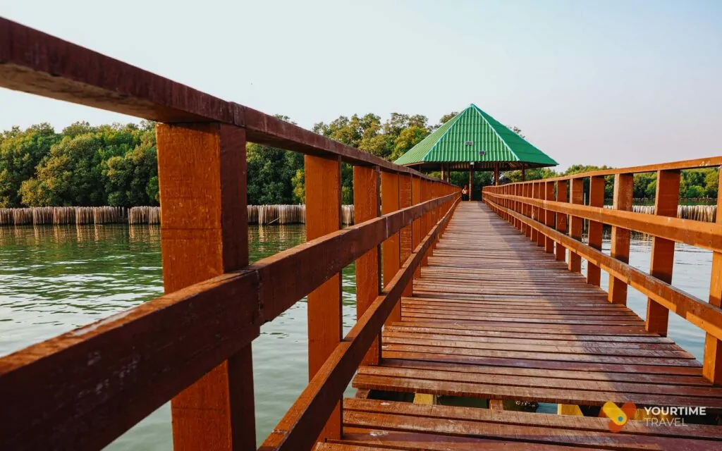 สะพานแดง จุดชมวิวปลาโลมา ณ สมุทรสาคร
